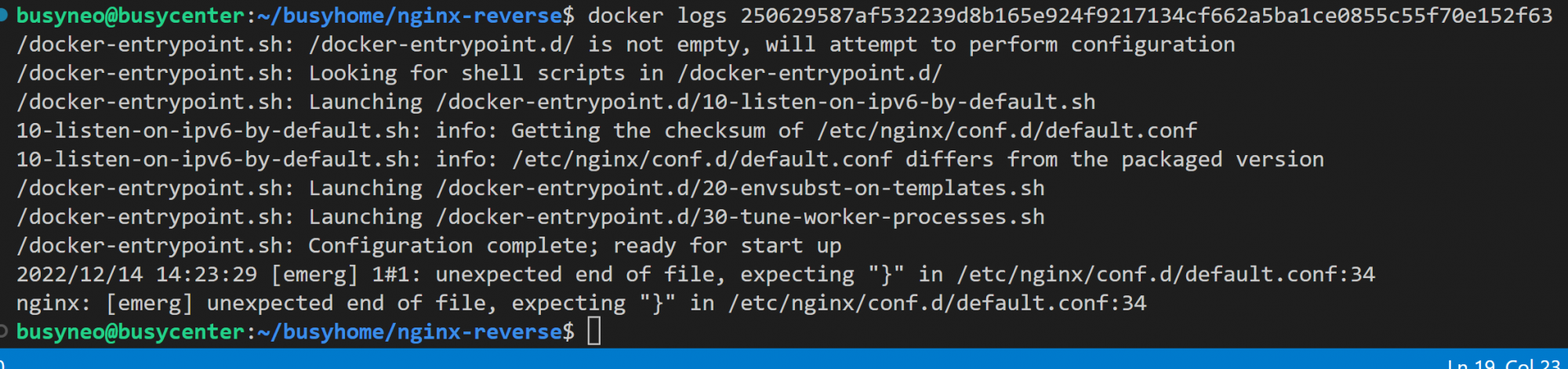How to run Docker in debug mode and view container logs? View Docker container logs.